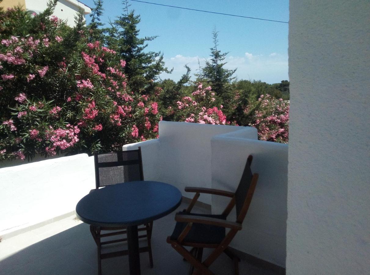 Apartments And Rooms Camelia Premantura Exteriér fotografie